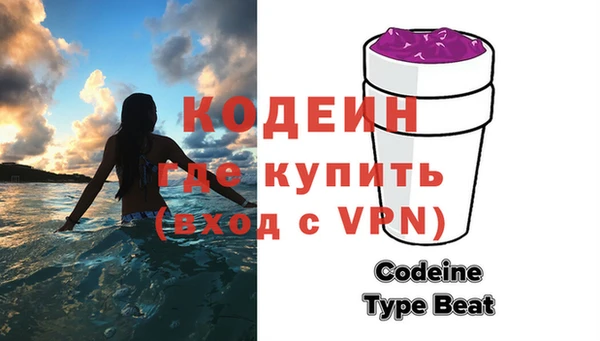индика Сясьстрой