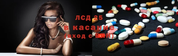 индика Сясьстрой