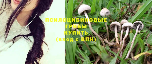 индика Сясьстрой