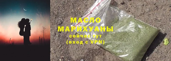 индика Сясьстрой