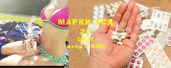 шишки Армянск