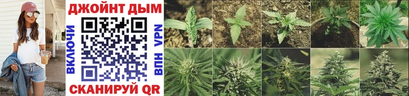 Каннабис Ganja  мориарти официальный сайт  Унеча 
